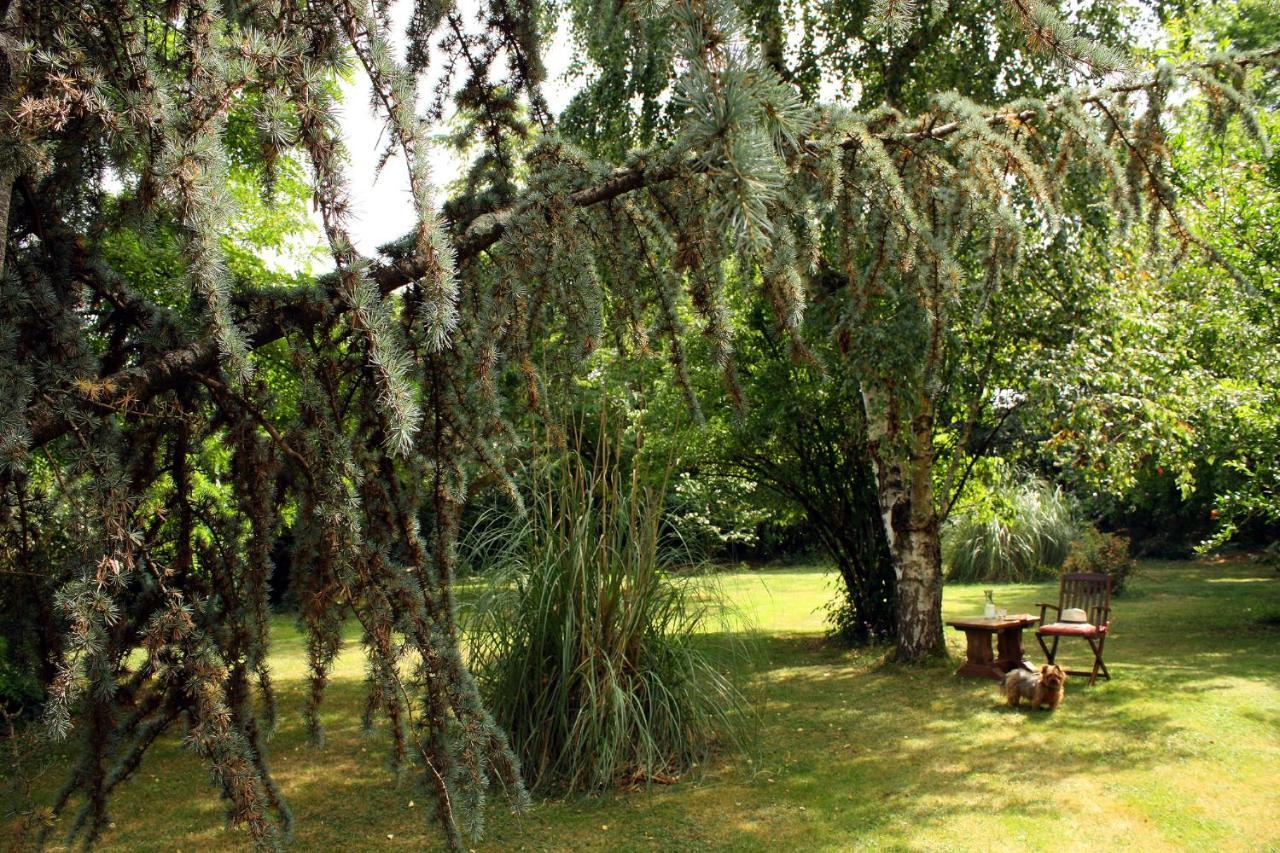 Bed and Breakfast Au Plech Mont-d'Astarac Exterior foto